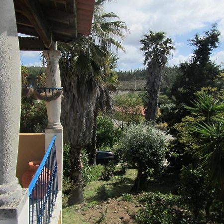 Casa Amarela Apartment Sao Pedro de Tomar Luaran gambar