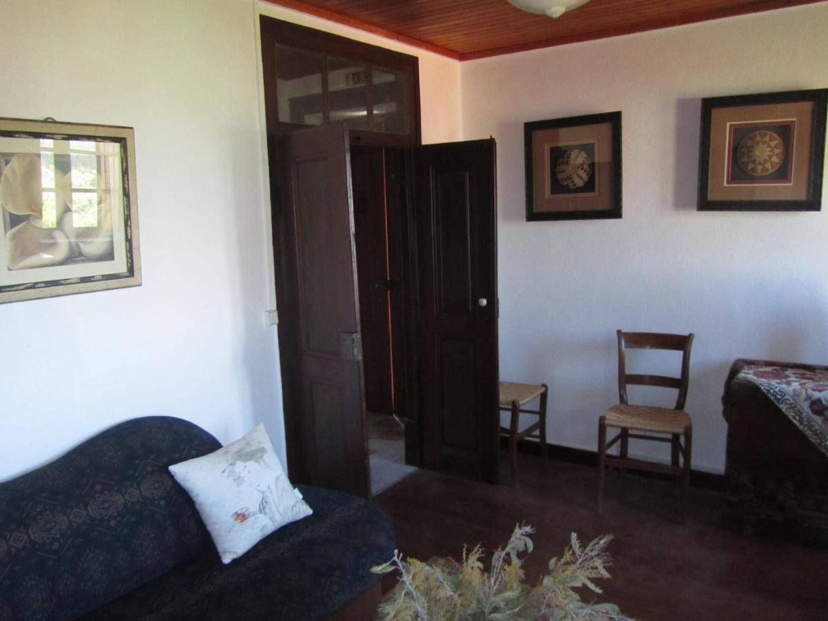 Casa Amarela Apartment Sao Pedro de Tomar Luaran gambar